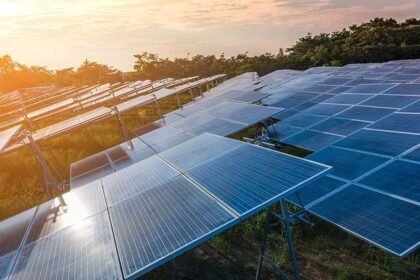 Rows of solar panels at a utility-scale solar farm delivered by CableNet Industries
