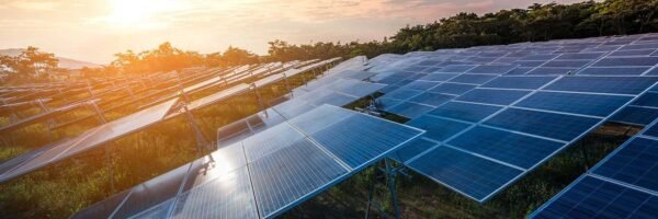 Rows of solar panels at a utility-scale solar farm delivered by CableNet Industries